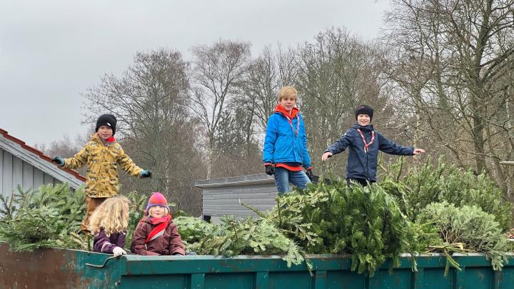Børn som står ved en stak juletræer
